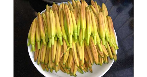 用黃花菜烘干機(jī)烘干后的黃花菜好吃嗎？