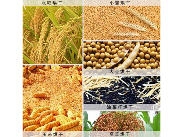 蔬菜烘干機設(shè)備功能效果符合不同物料的干燥需求